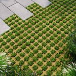 Тротуарна плитка-решітка гірчична