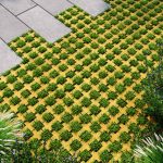 Бруківка рештіка міні жовта