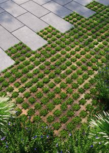 Бруківка рештіка міні дизайн Променада