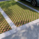 Екобруківка червона