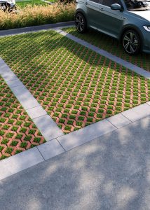 Екобруківка червона