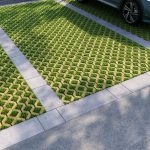 Екобруківка гірчична