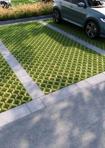 Екобруківка гірчична