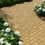 Бруківка Старе місто гірчична