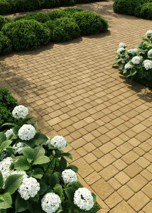 Бруківка Старе місто гірчична