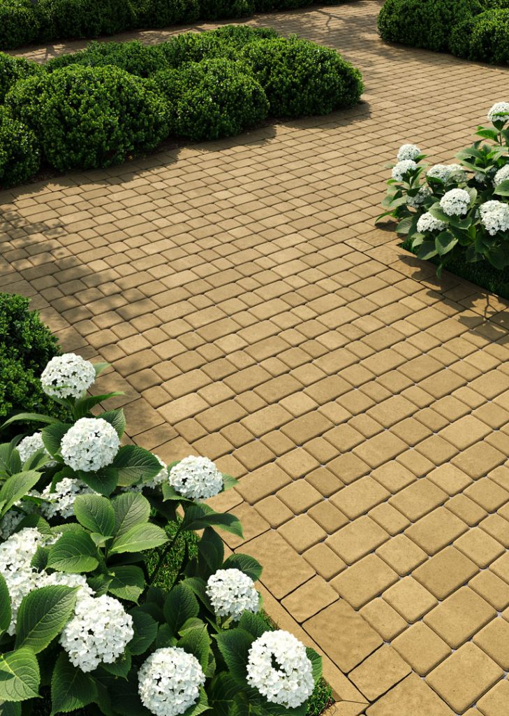 Бруківка Старе місто гірчична