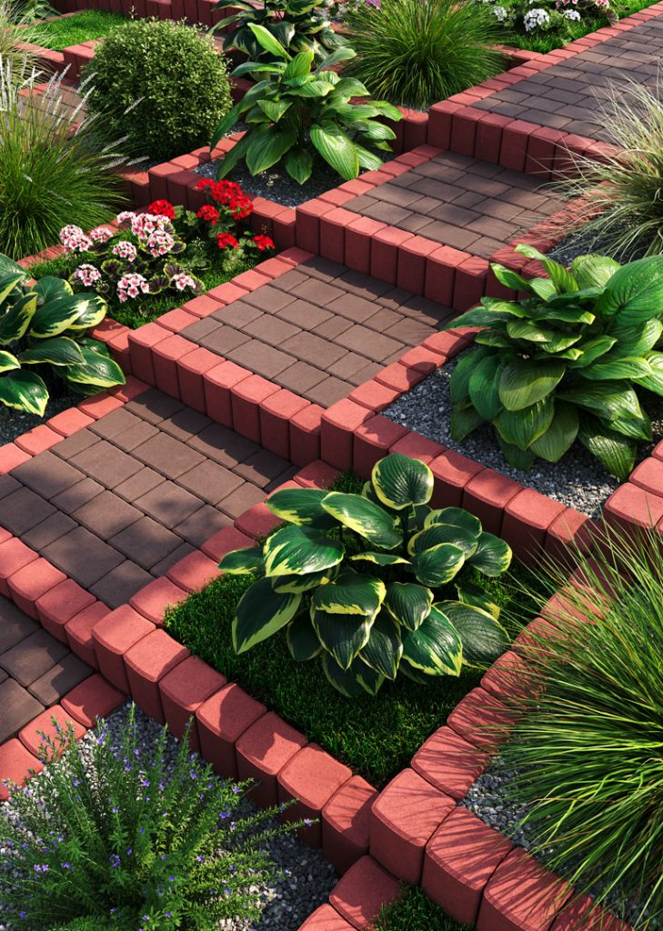 Палісад червоний