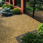 Австрійська бруківка гірчична