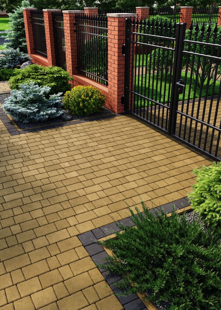 Австрійська бруківка гірчична