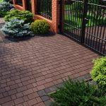 Бруківка австрійська коричнева