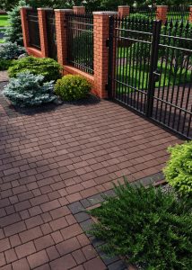 Бруківка австрійська коричнева