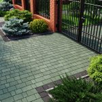 Бруківка австрійська зелена