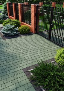 Бруківка австрійська зелена