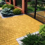 Бруківка австрійська жовта