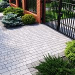 Бруківка австрійська біла