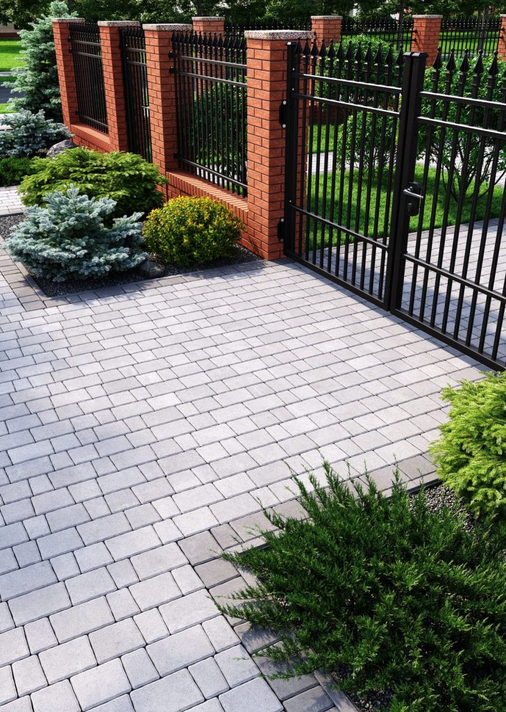 Бруківка австрійська біла